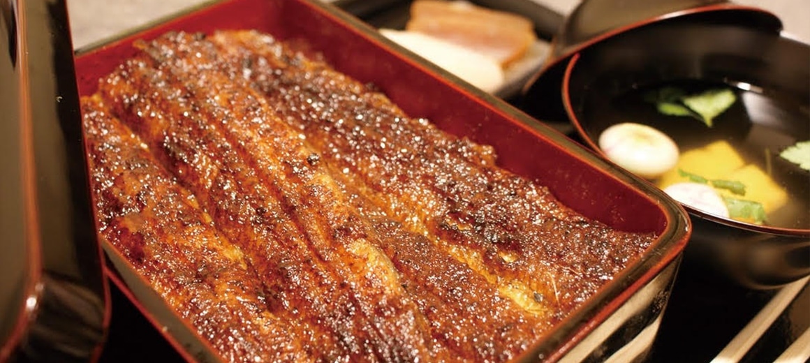 最高品質の青うなぎ