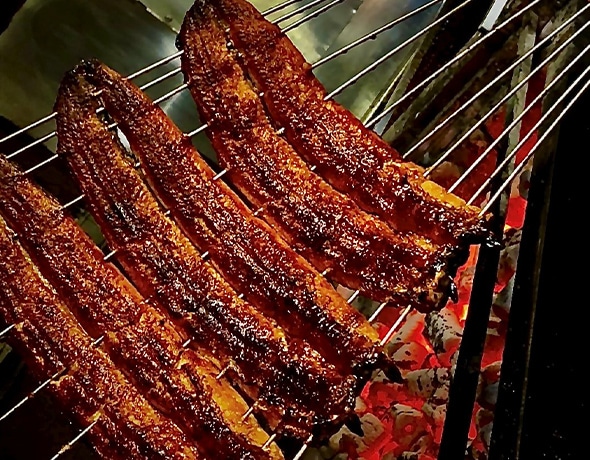 最高品質の青うなぎ